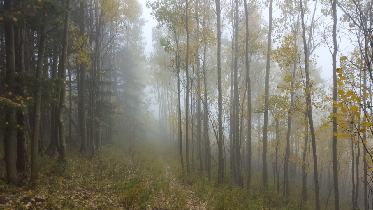 20181007_090621.jpg