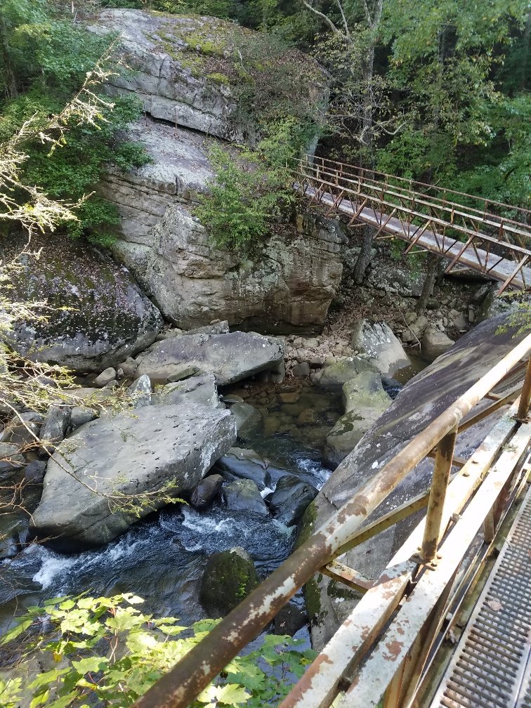 20181007_100537_resized.jpg