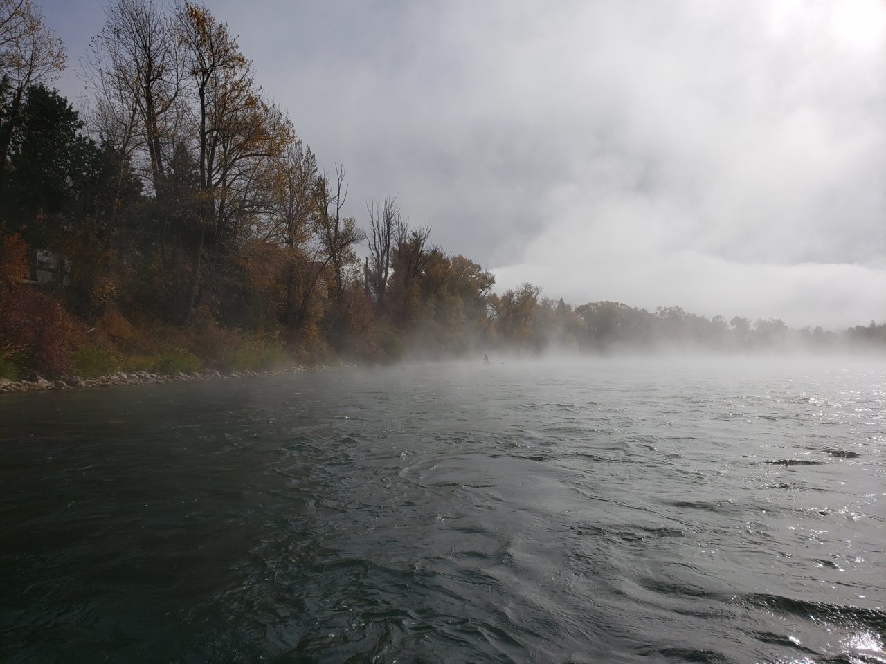 20181007_110345.jpg