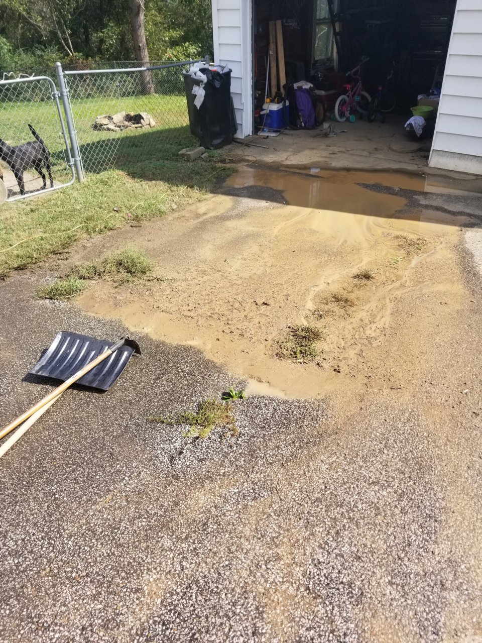 20181007_132843.jpg