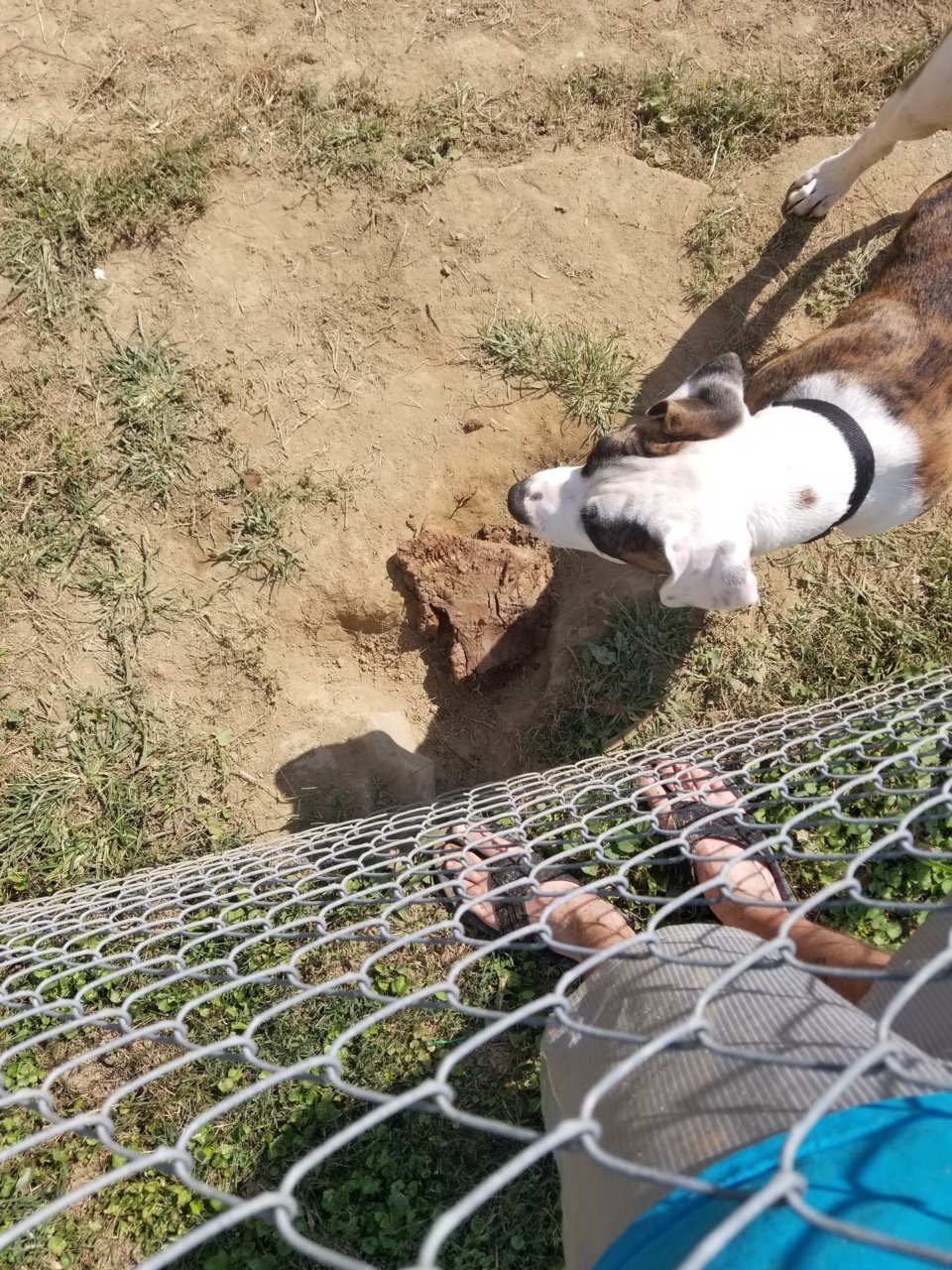 20181007_132916.jpg