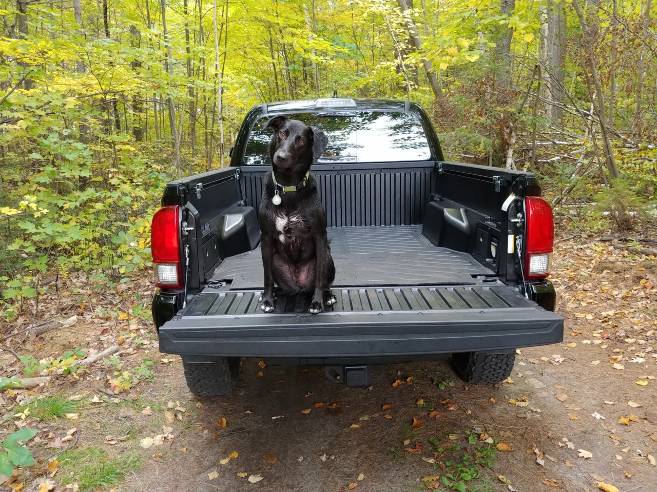 20181007_165325.jpg
