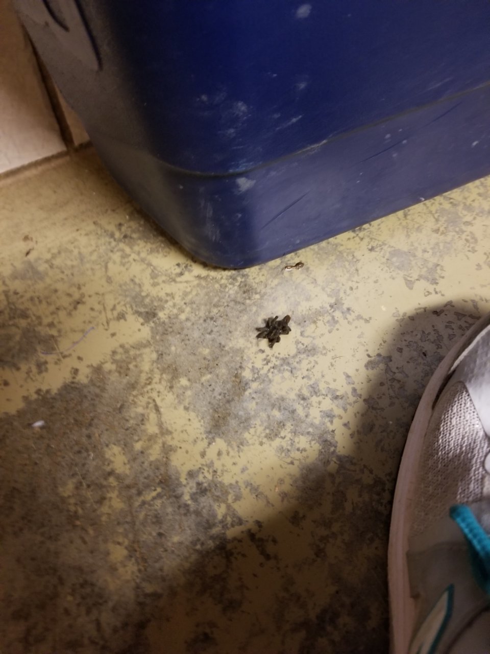 20181007_231529.jpg
