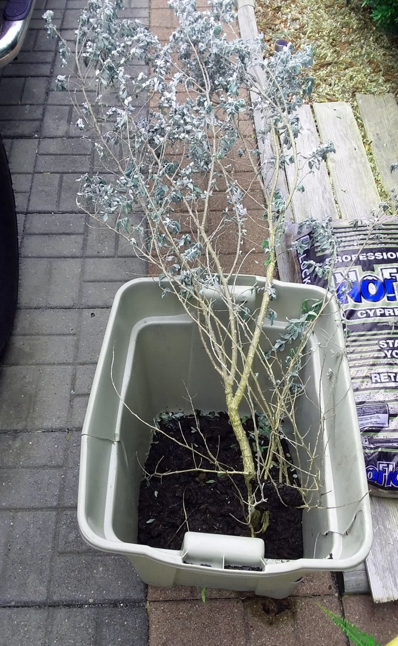 20181008_103908.jpg