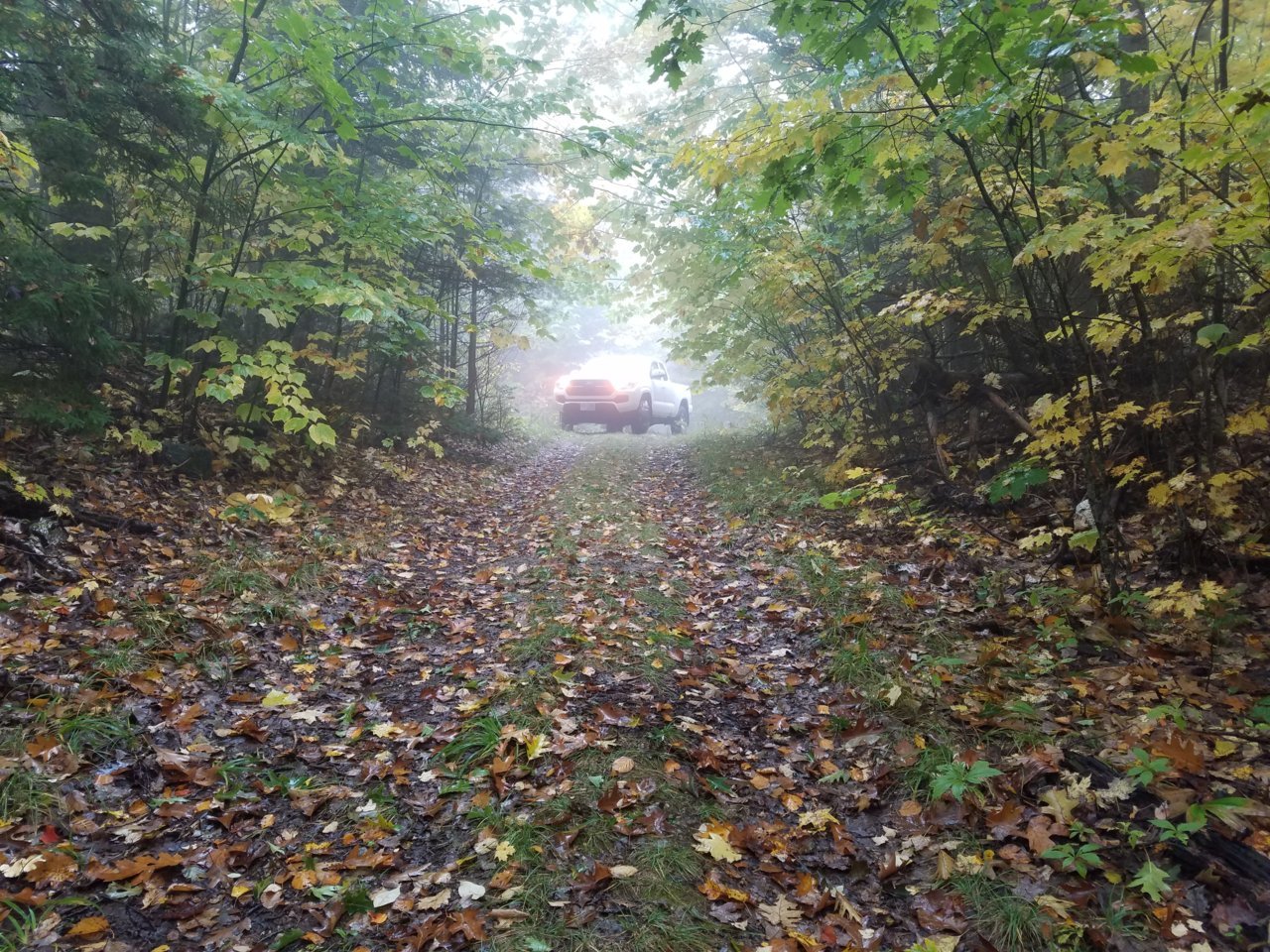 20181008_114151.jpg