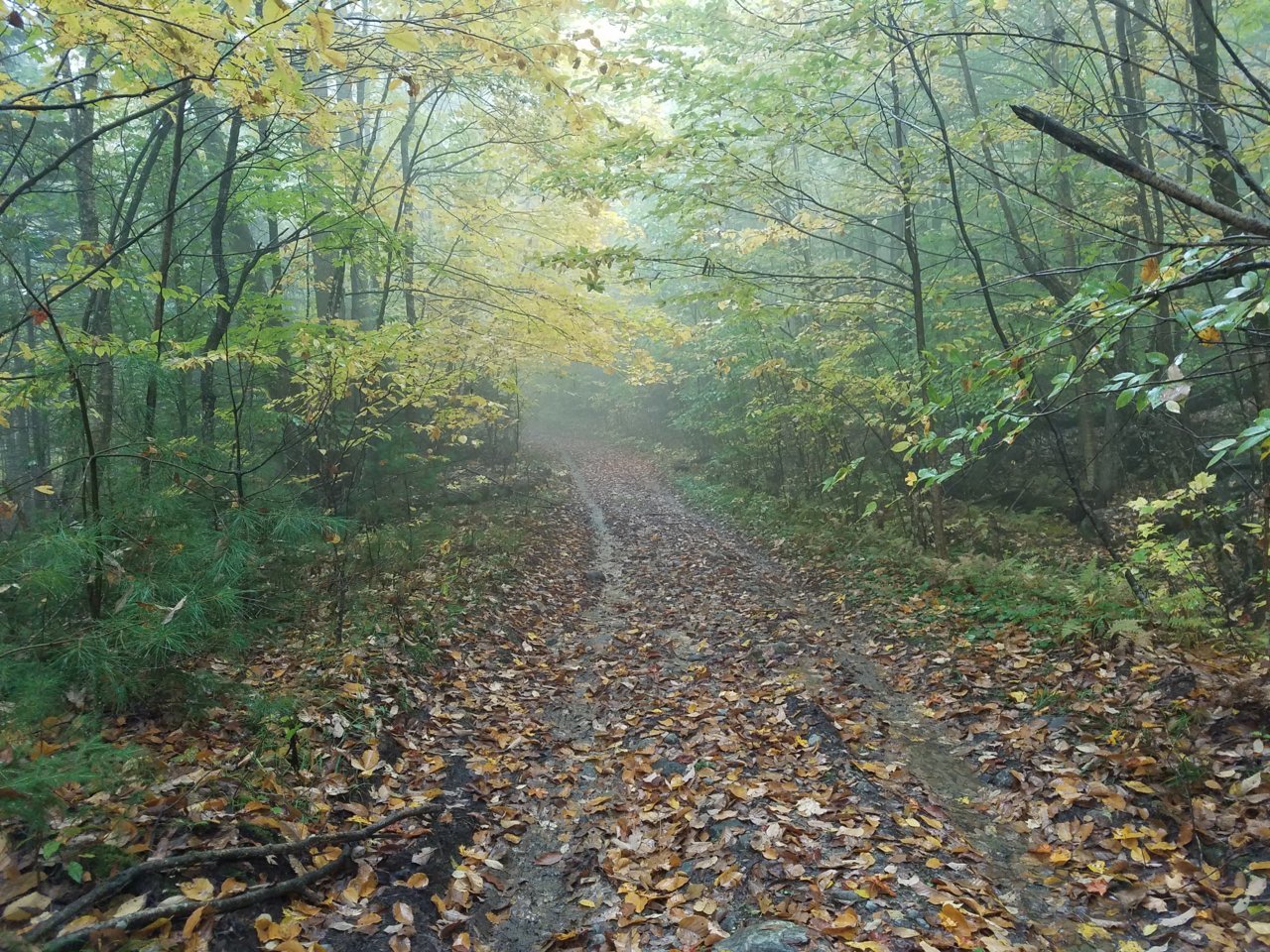 20181008_122359.jpg