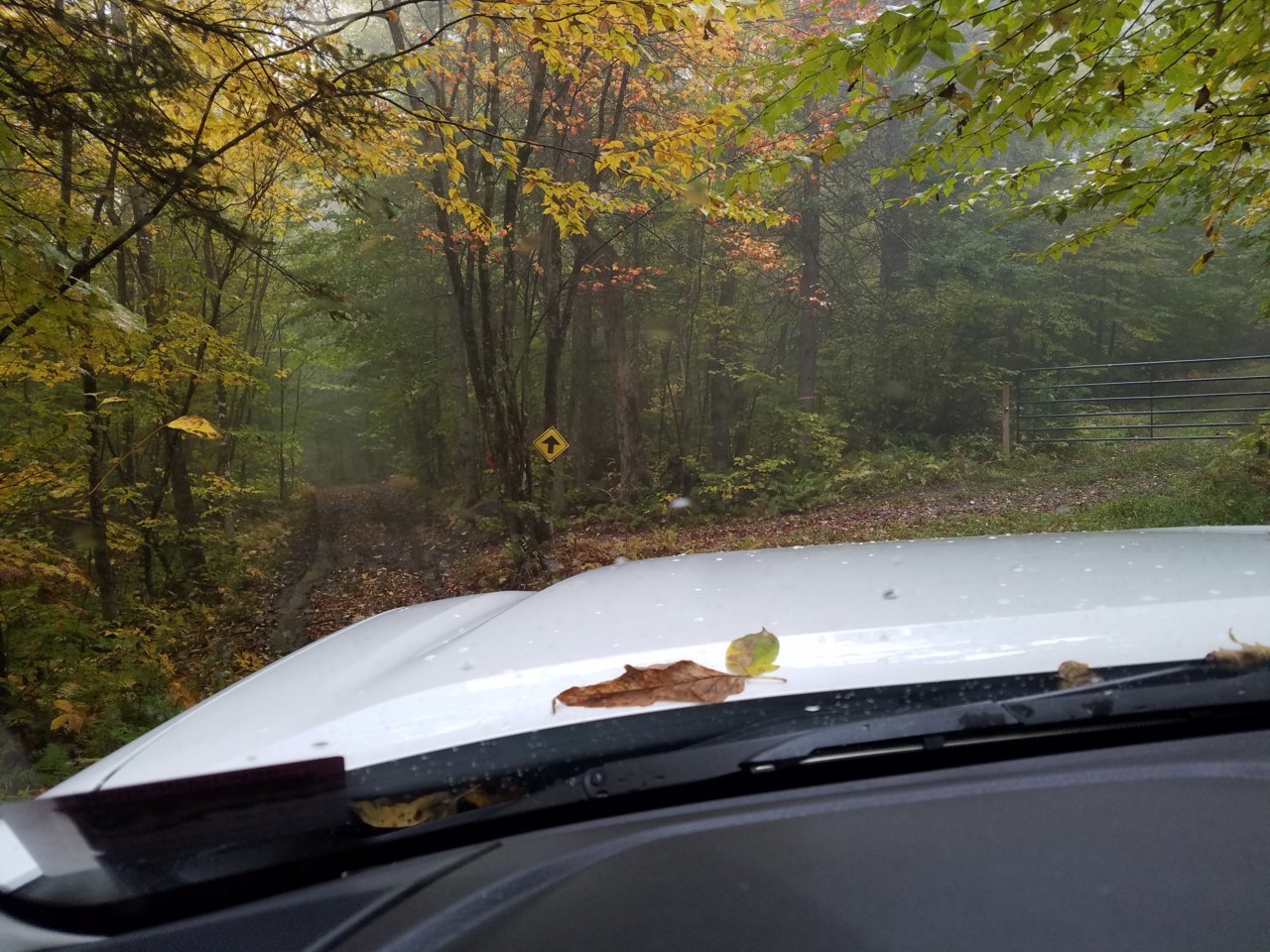 20181008_123459.jpg