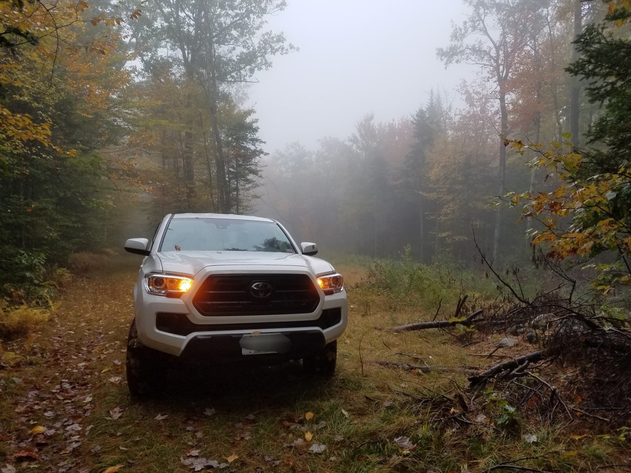20181008_141810.jpg