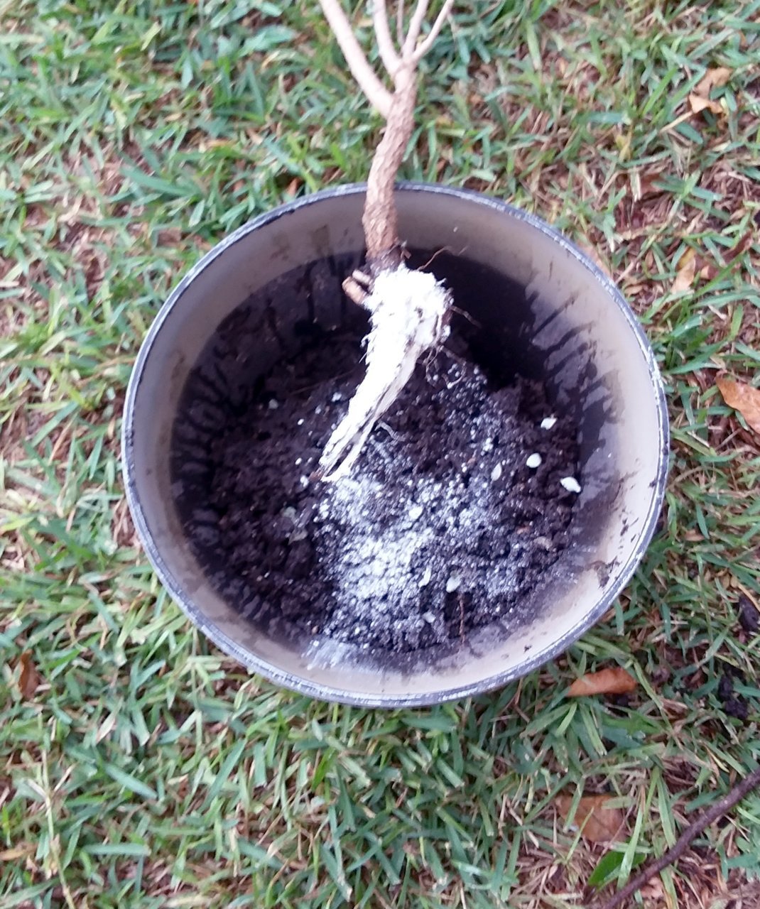 20181008_143431.jpg