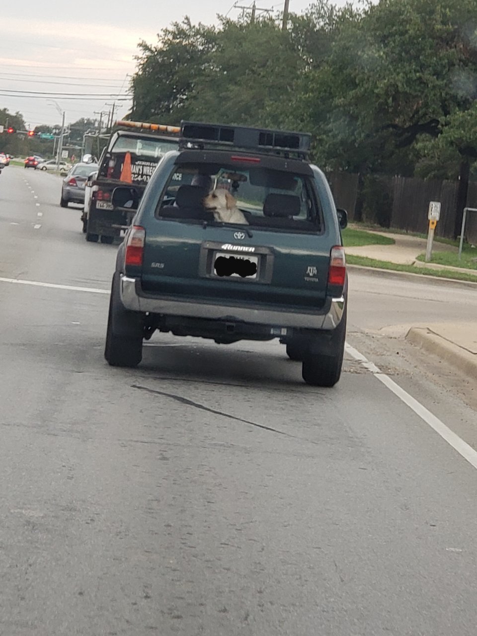 20181008_150021.jpg
