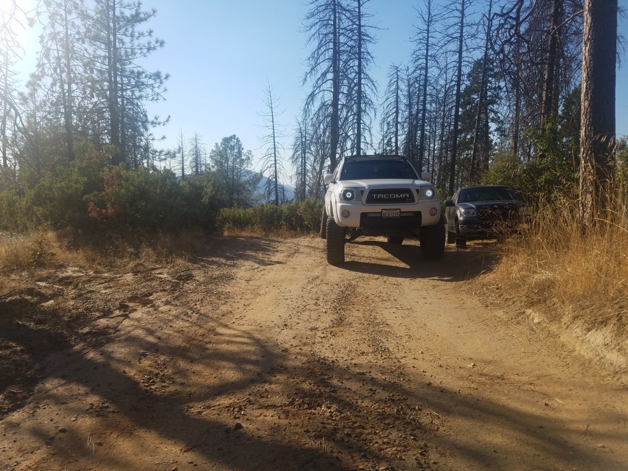 20181008_164800.jpg