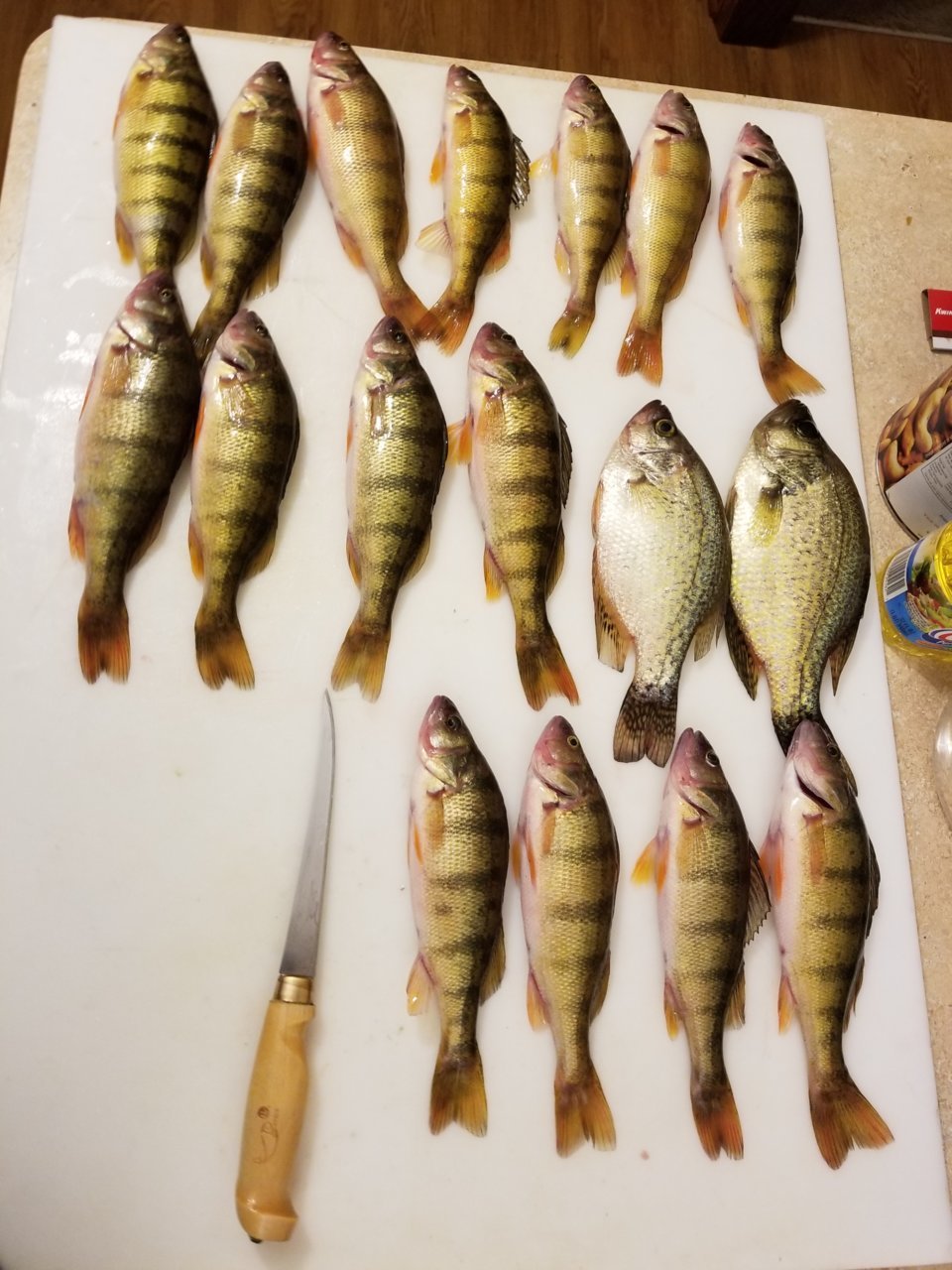 20181008_201501.jpg