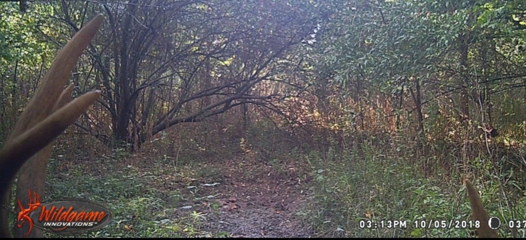 20181008_221454.jpg