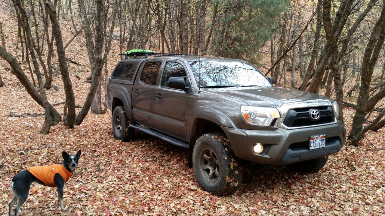 20181009_134221.jpg