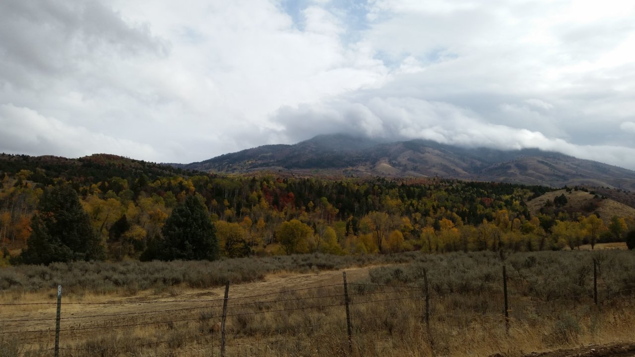 20181009_140352.jpg