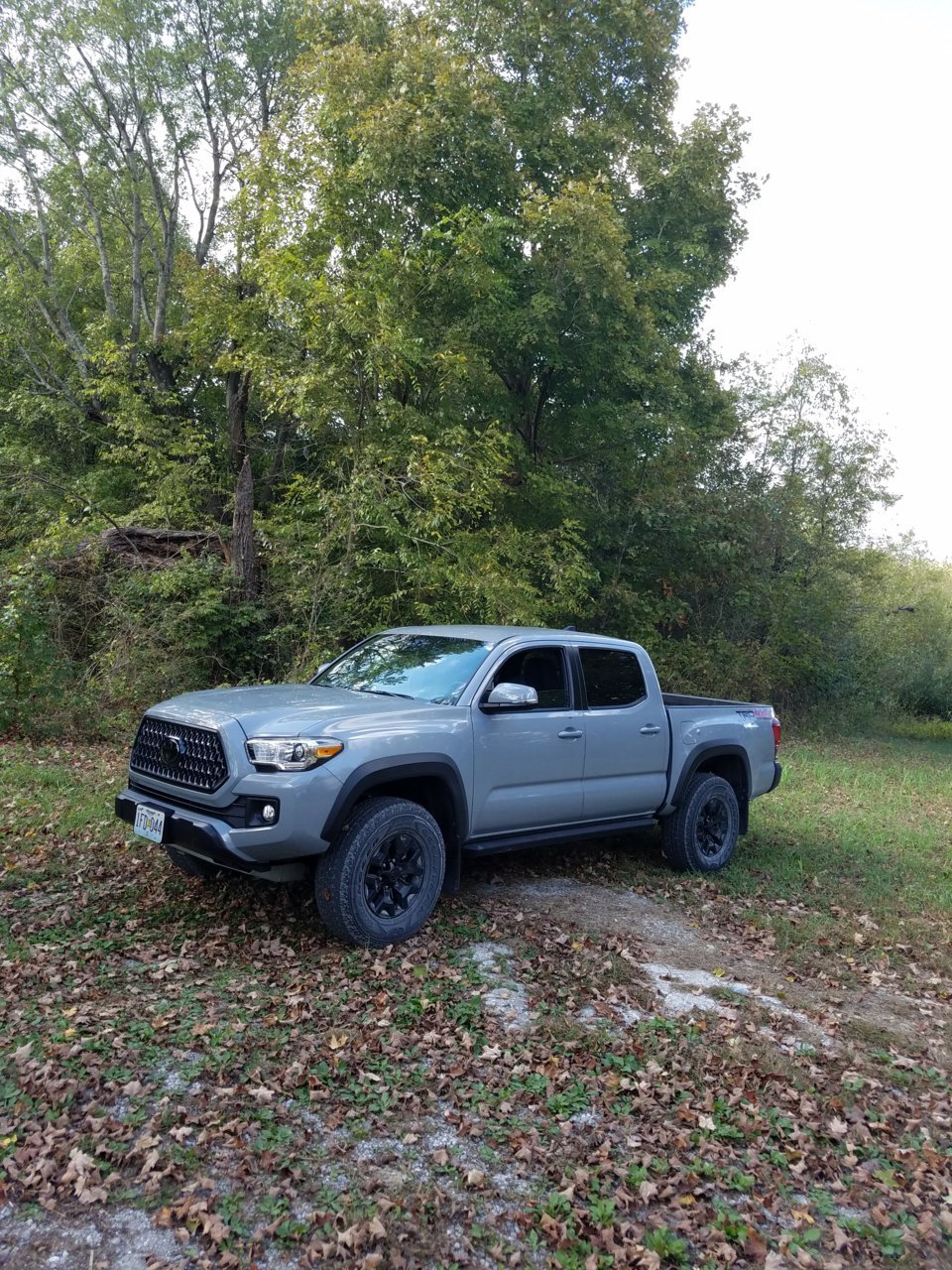 20181009_143147.jpg