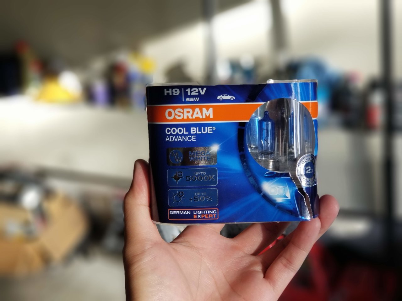 20181009_165012.jpg