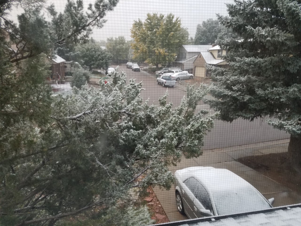 20181010_072852.jpg