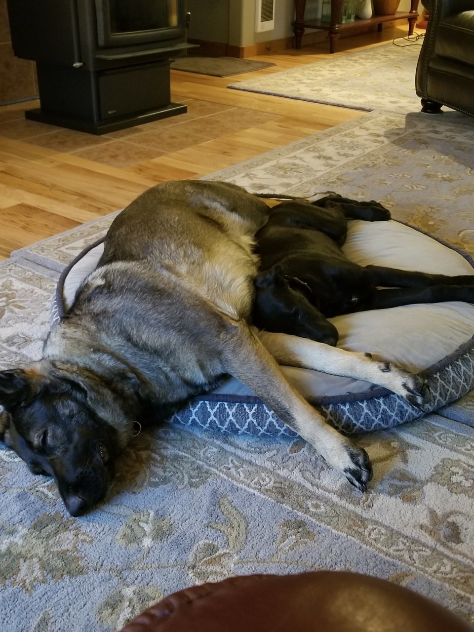 20181010_184540.jpg