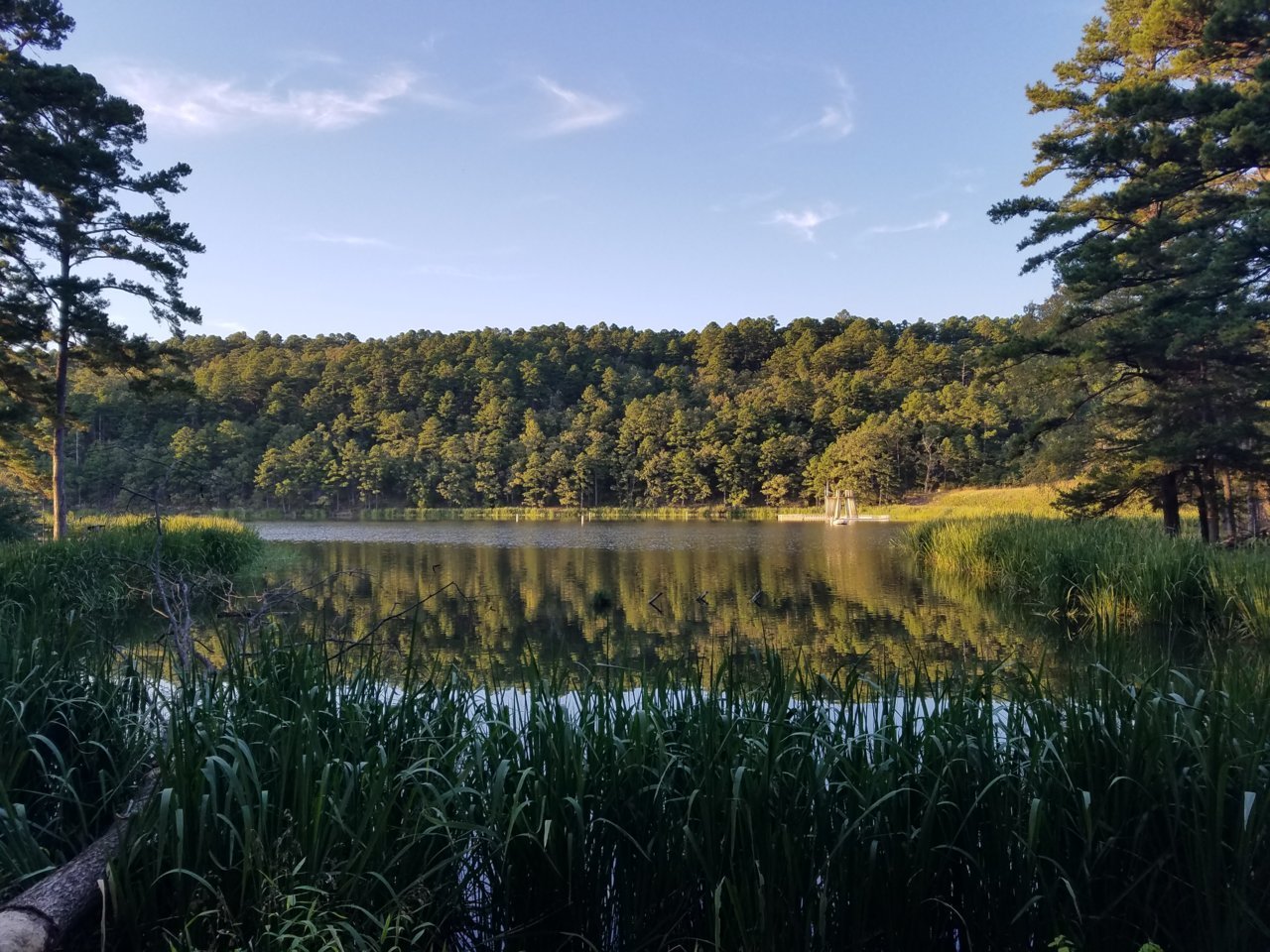 20181011_181245.jpg