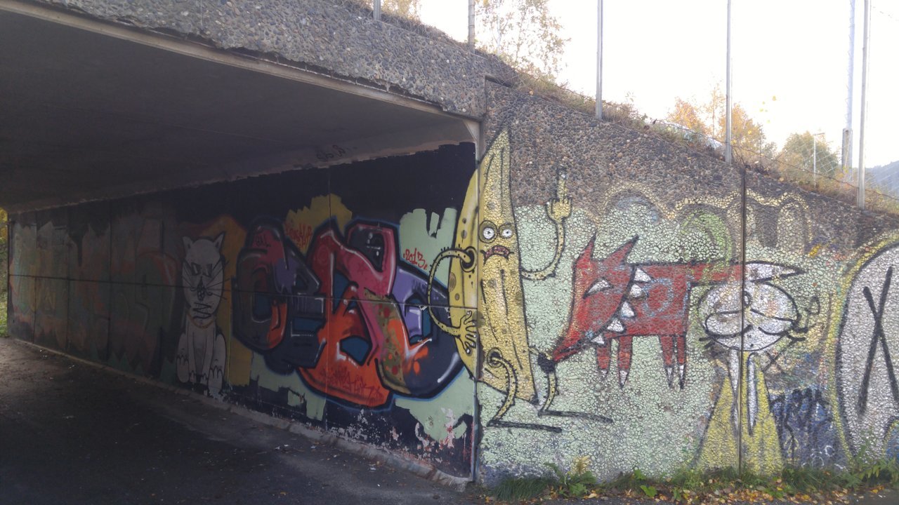 20181012_070437.jpg