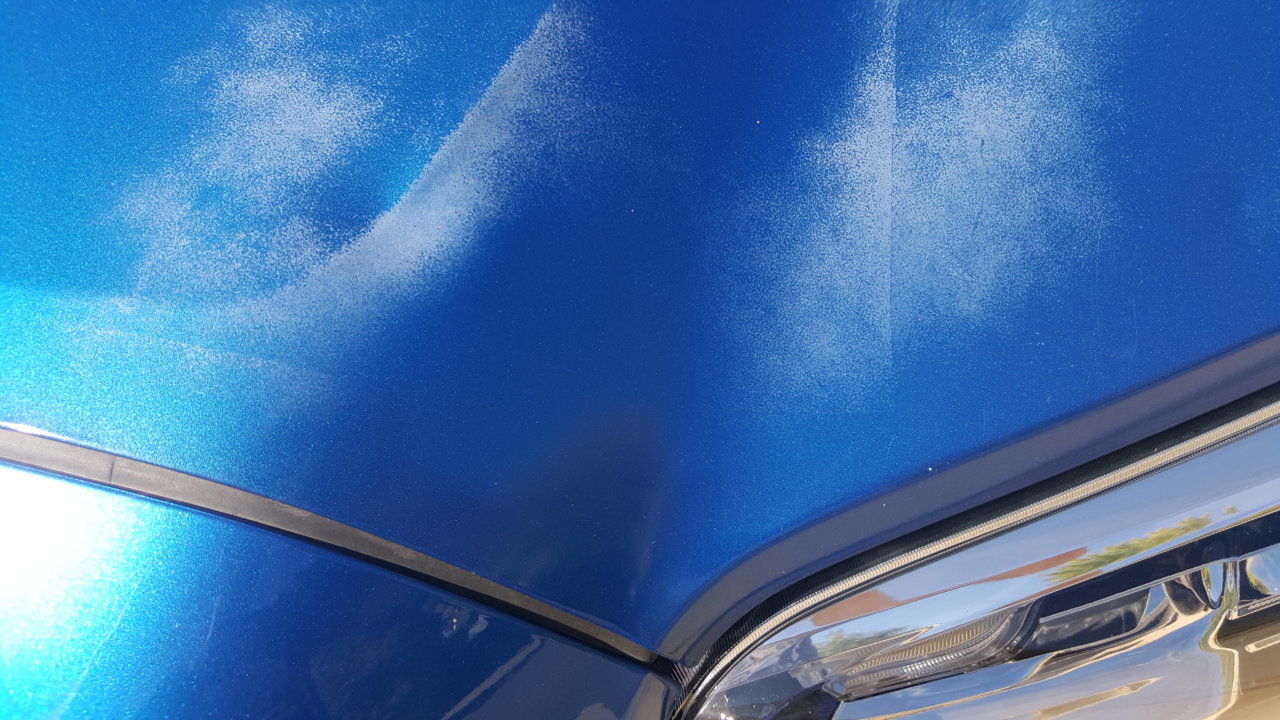 20181012_135615.jpg