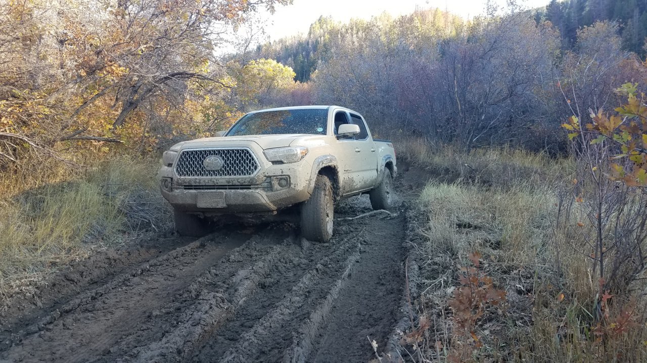 20181012_170711.jpg