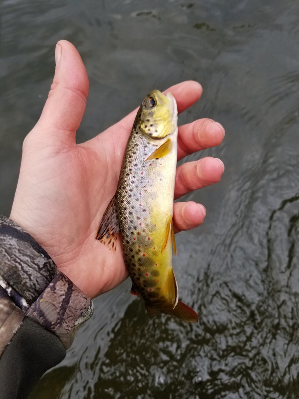 20181013_105815.jpg