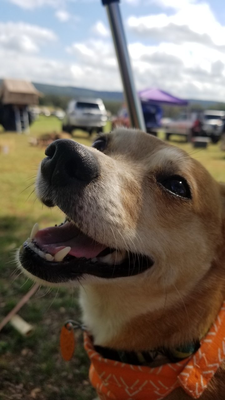 20181013_114253.jpg