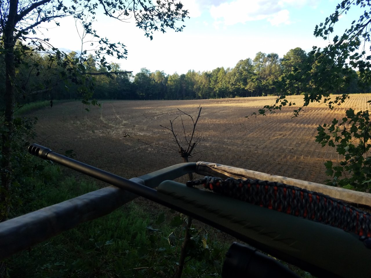 20181013_173511.jpg