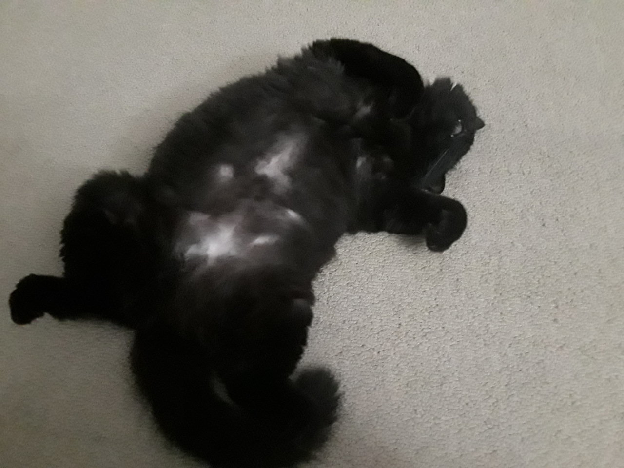 20181013_202210.jpg