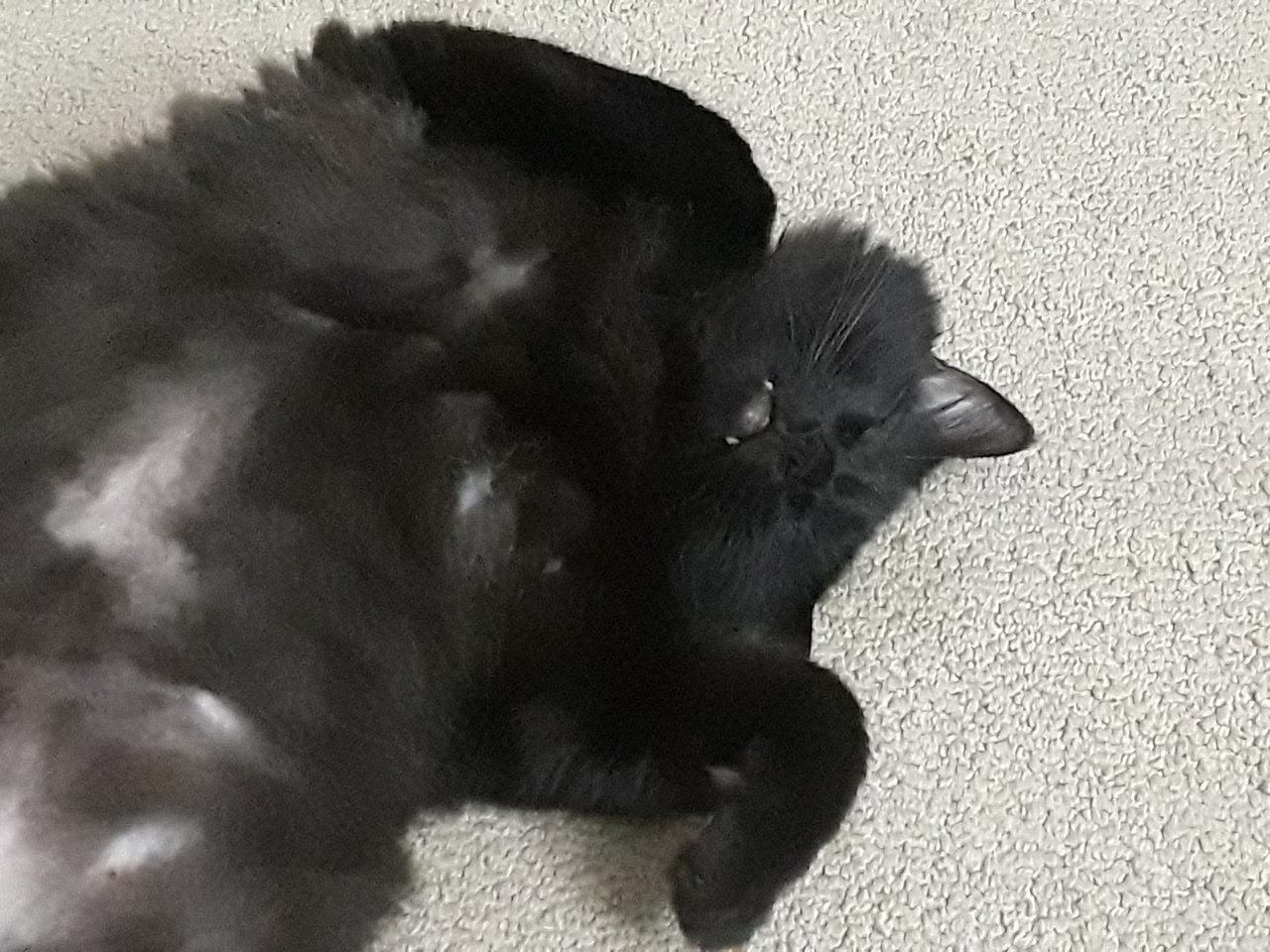 20181013_202244.jpg