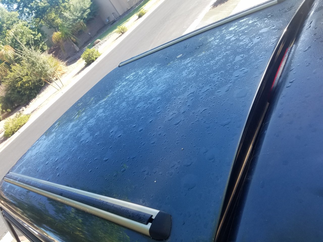 20181014_084827.jpg