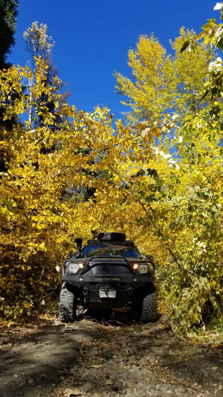 20181014_145314.jpg