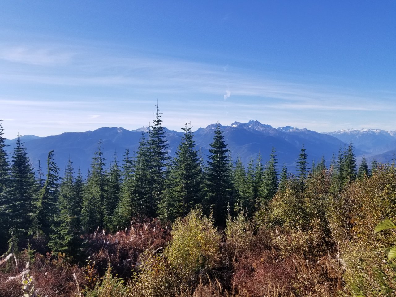 20181014_153411.jpg