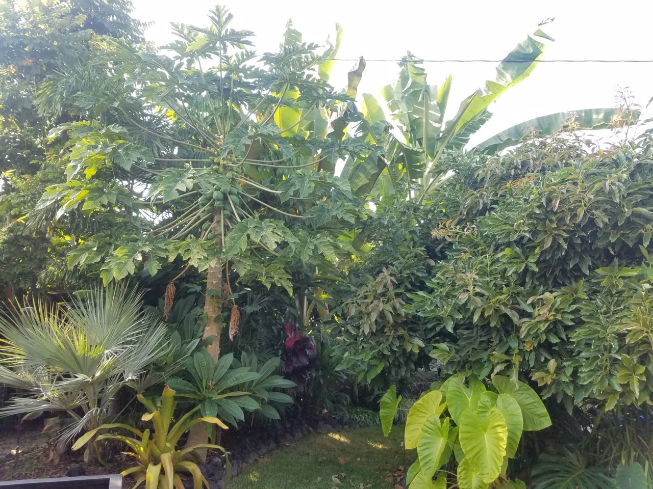 20181014_155641.jpg