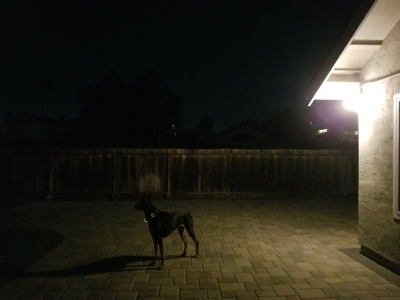 20181014_204755.jpg
