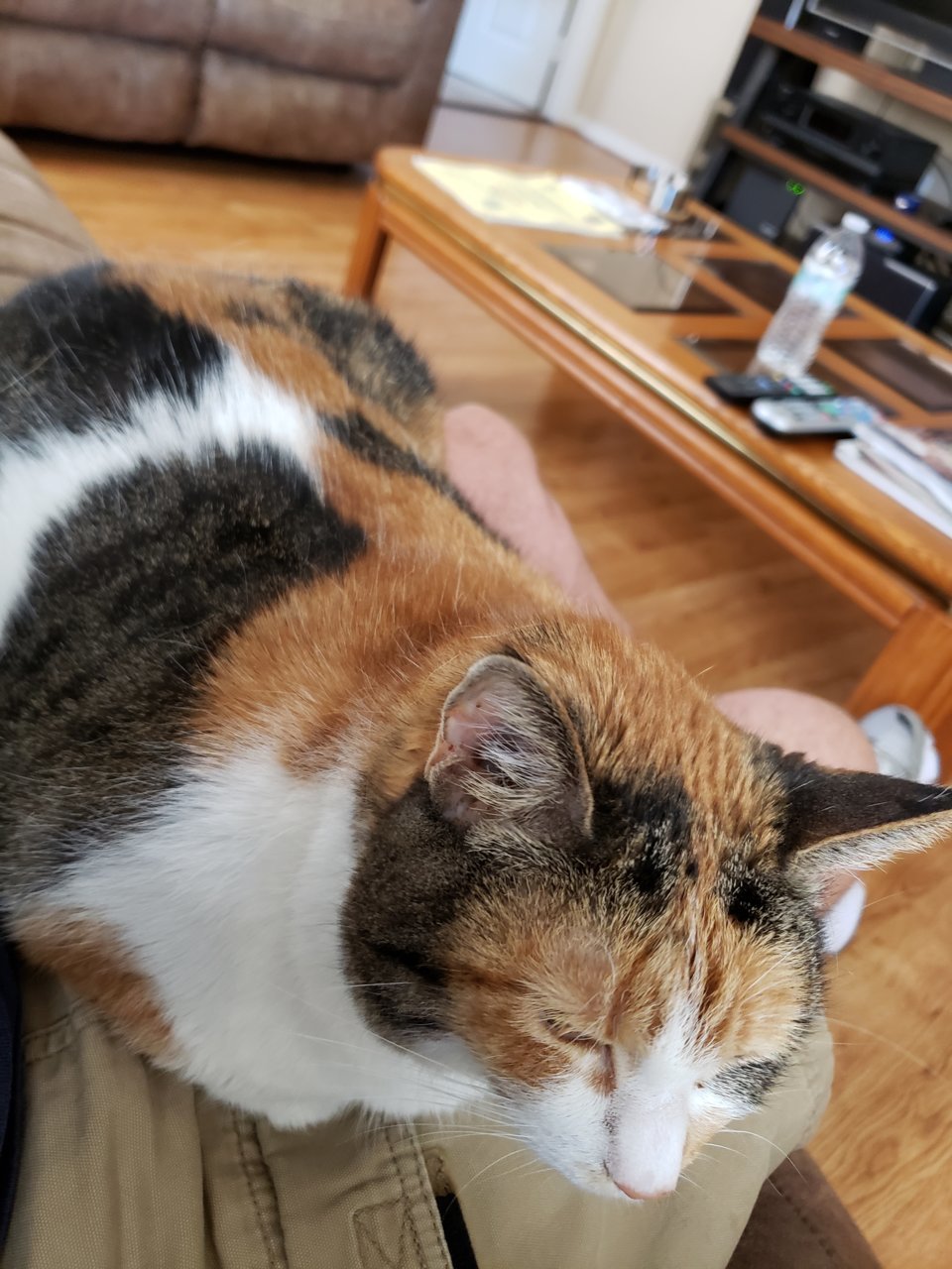 20181015_125425.jpg