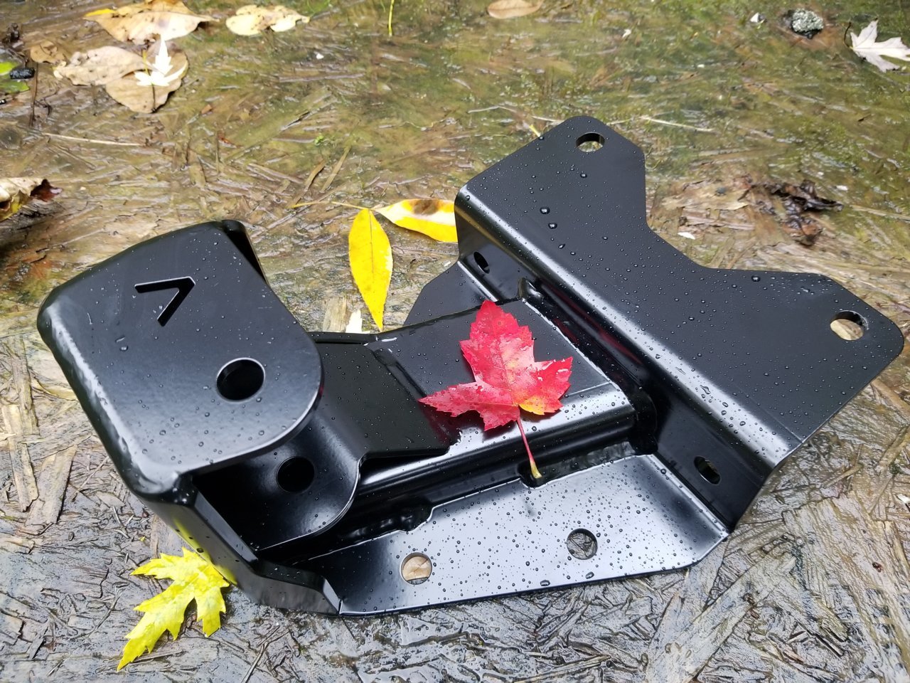 20181015_154106.jpg