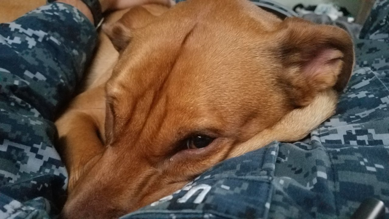 20181015_173203.jpg
