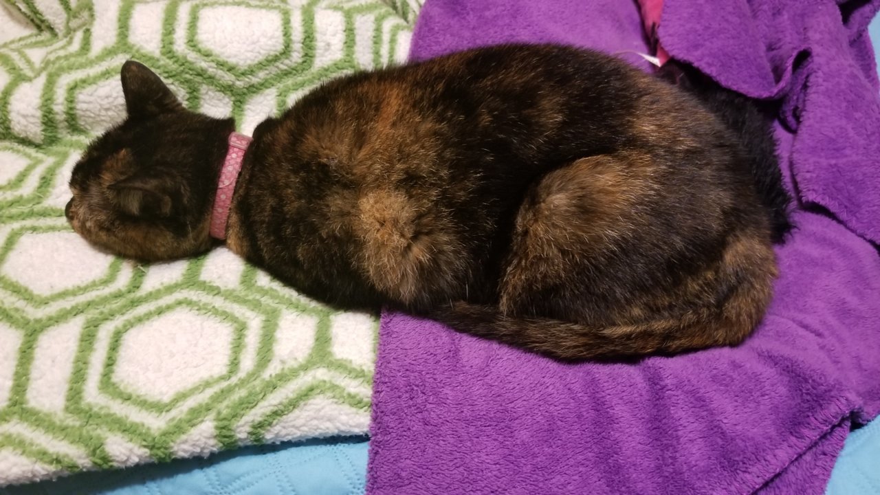 20181016_055831.jpg