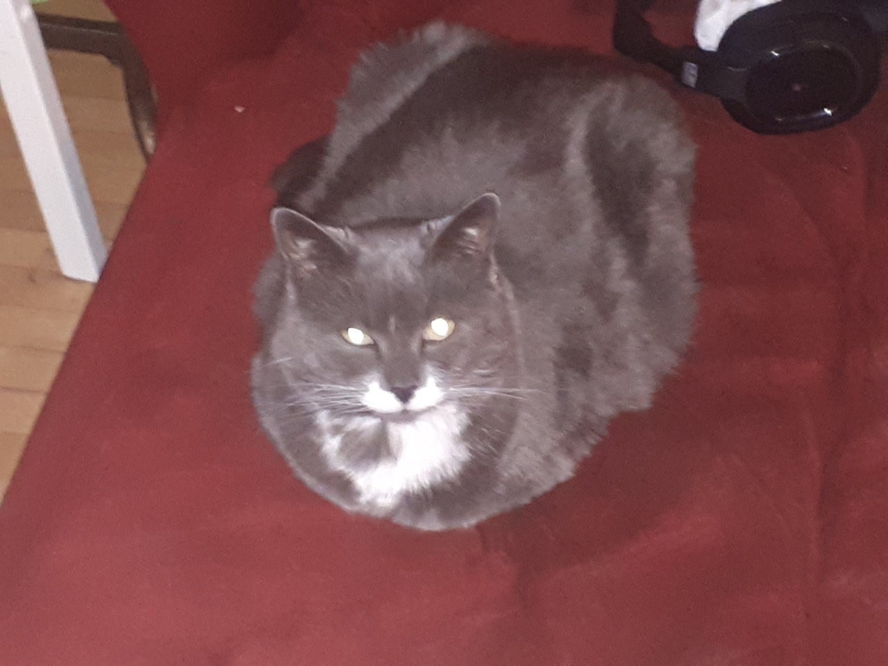 20181016_081139.jpg