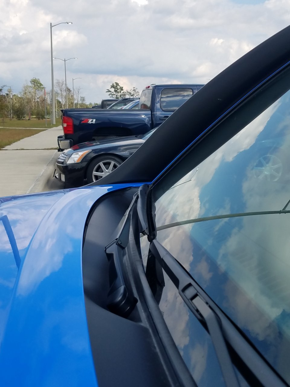 20181016_134658.jpg