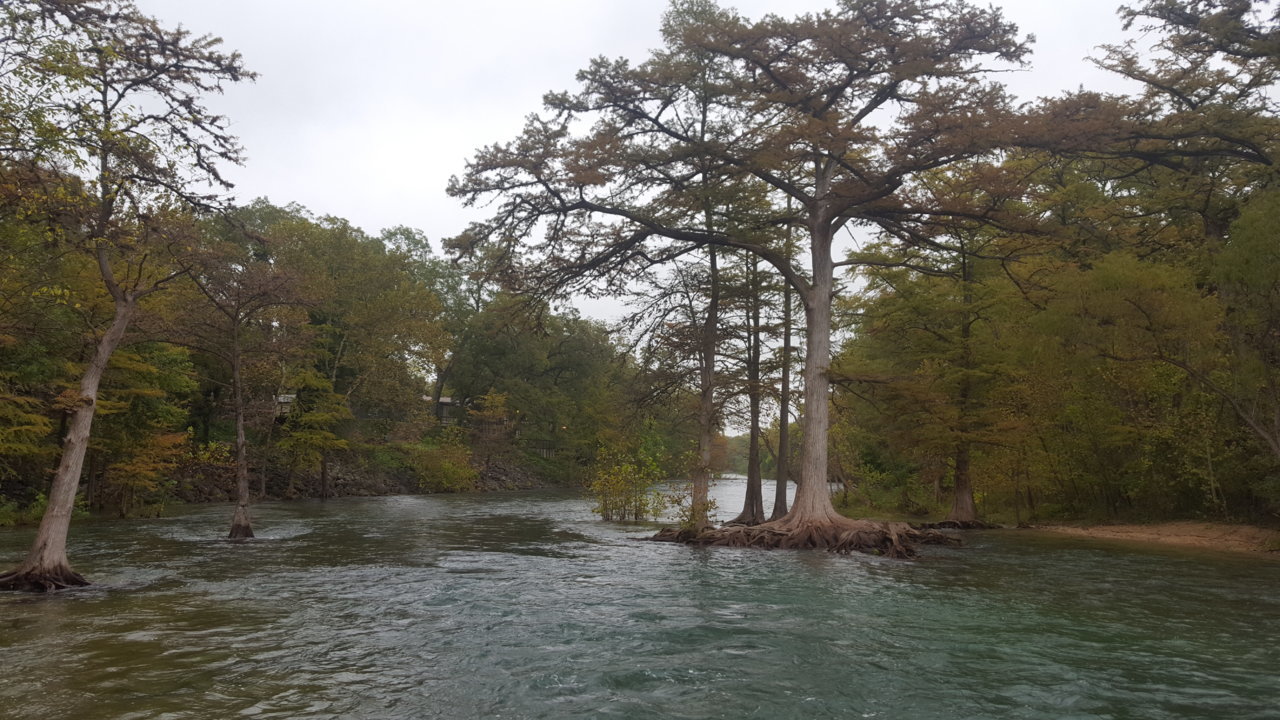 20181018_154751.jpg