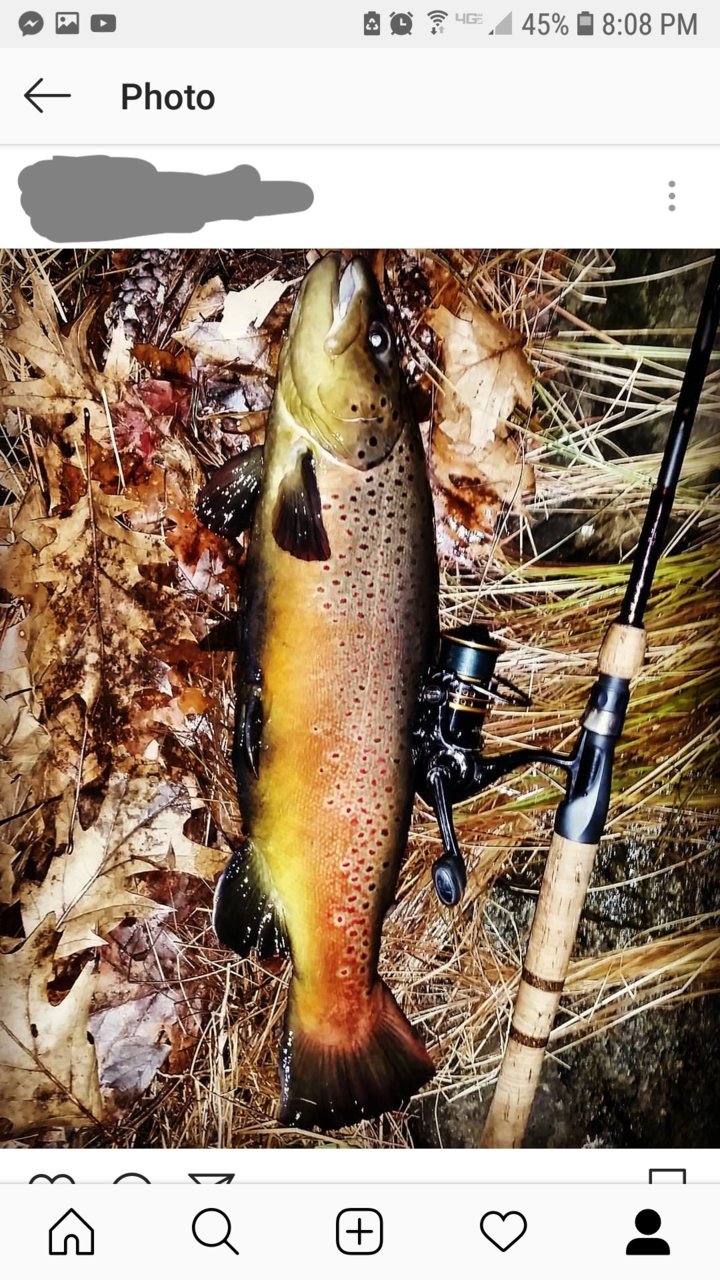 20181018_200841.jpg