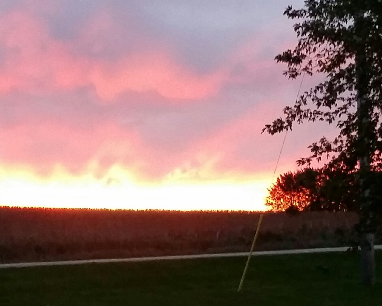 20181019_070057-2.jpg