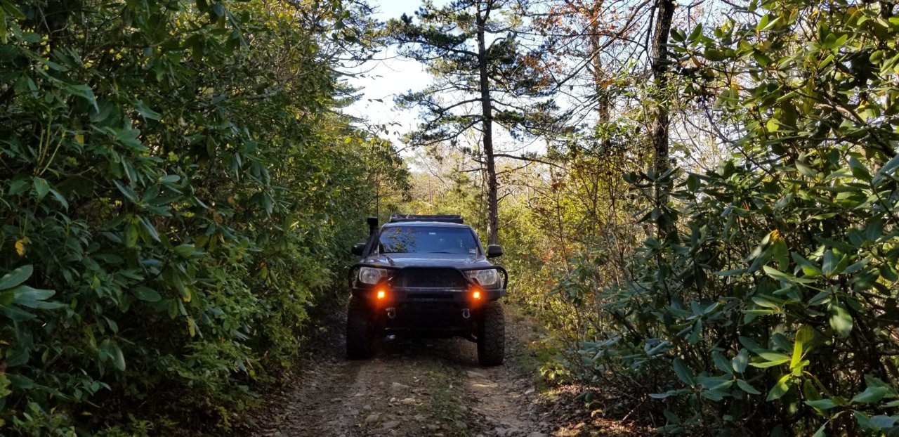 20181019_104947.jpg