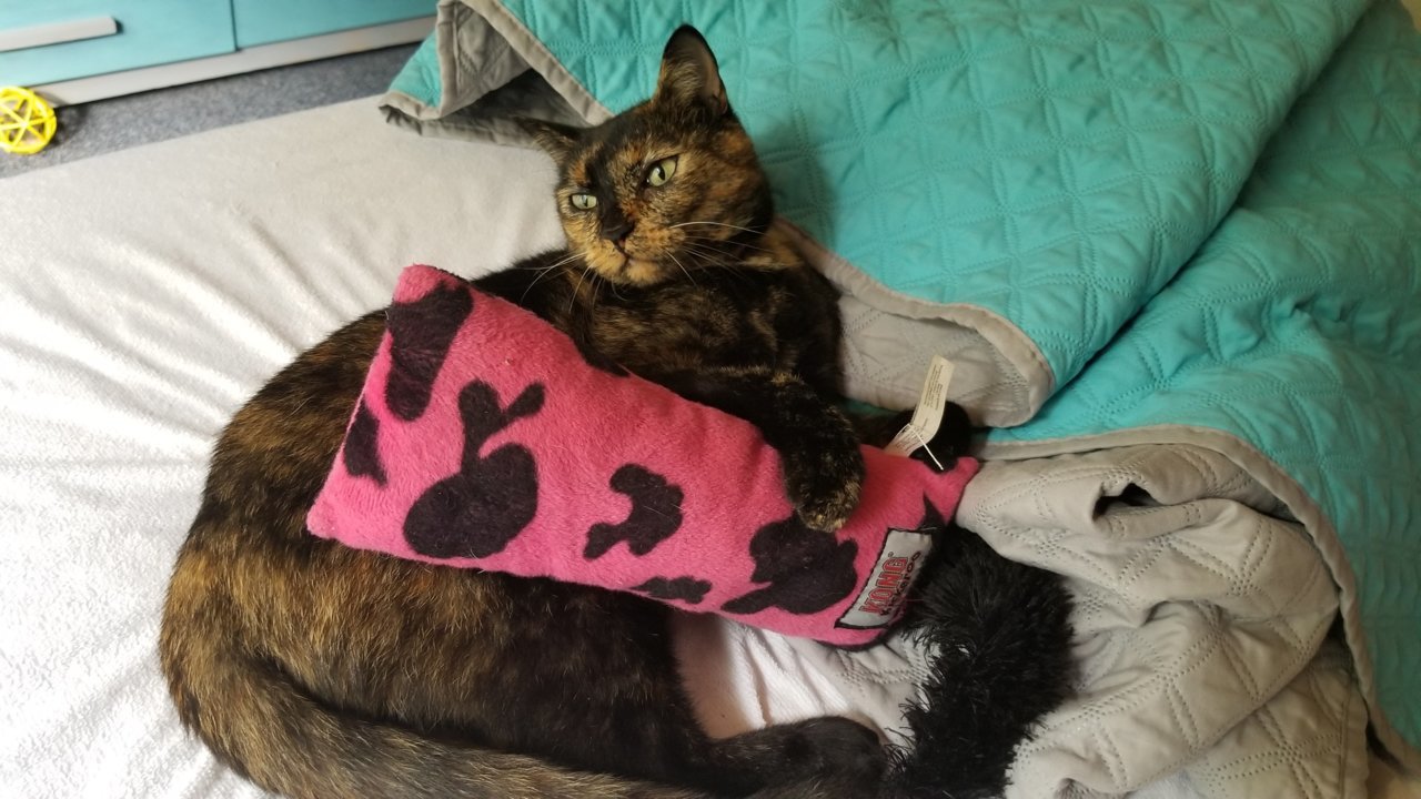 20181019_152457.jpg