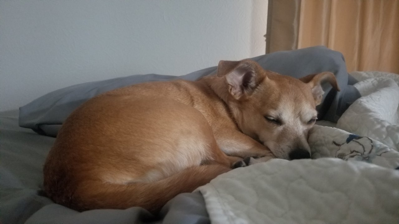 20181020_104230.jpg