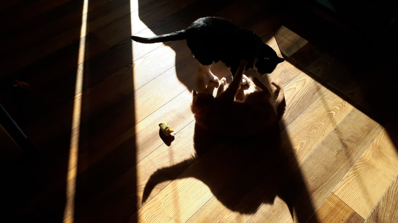 20181020_144420.jpg